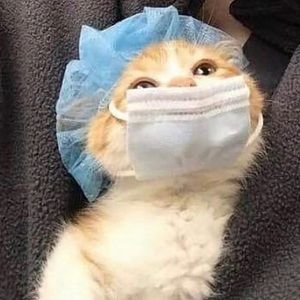 Meet your Posher, Maria